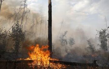 Come salvare la faccia: l’arte dell’elusione dalle responsabilità. Italiani maestri