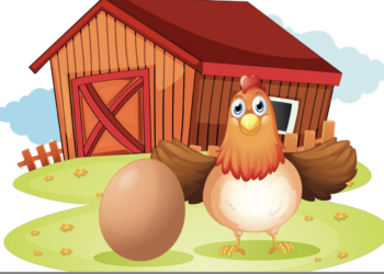 Svelato l’eterno quesito: è nato prima l’uovo, non la gallina.