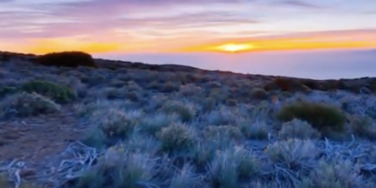 Roberto Benigni recita l’Infinito di Giacomo Leopardi, una lunga attesa