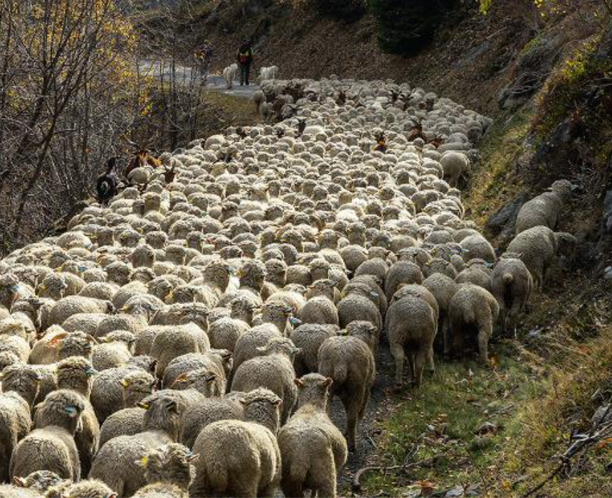 Chiagne e fotte? E’vittimismo aggressivo, la maschera di una ipnosi collettiva, che viene da lontano