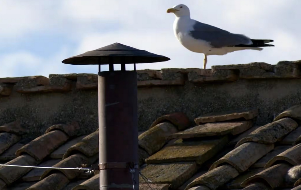 Il miracolo che sta davanti ai nostri occhi e non vediamo