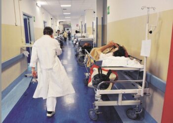 La Grande abbuffata, salute e trasporti in mano alle lobby. La truffa delle liste di attesa e del Ponte